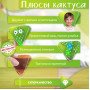 Інтерактивна іграшка танцюючий кактус, Танцюючий співаючий кактус, Іграшка музичний кактус
