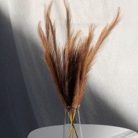 Пампас штучний 75см 10шт/уп. Колір: карамель