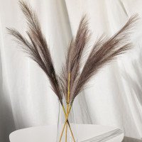 Пампас штучний 75см 5шт/уп. Колір: какао Пампас штучний 75см 5шт/уп. Колір: какао