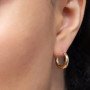 Сережки Biojoux BJT 246