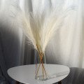 Пампас штучний 75см 5шт/уп. Колір: білий