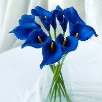 Калла на ніжці штучна У-21 см Упаковка 10 шт. Колір: синій Калла на ніжці штучна У-21 см Упаковка 10 шт. Колір: синій