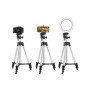 Комплект: Штатив TriPod 3120 + Кільцева лампа 20 см