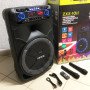 Професійна акумуляторна акустична система ZXX-1011 800 Вт 15