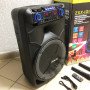 Професійна акумуляторна акустична система ZXX-1011 800 Вт 15
